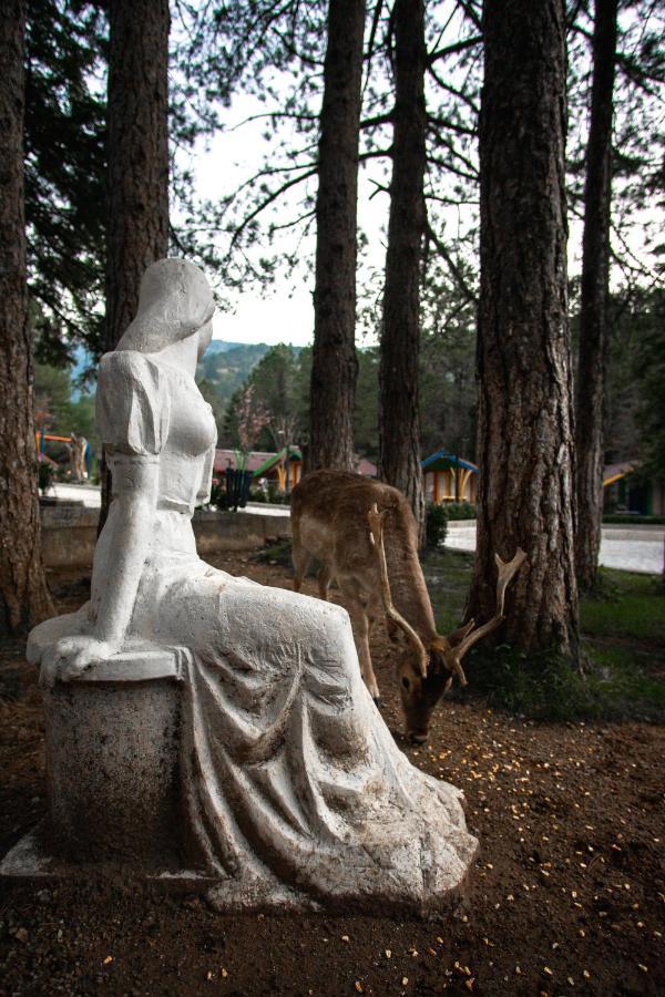 Te'dreri - Llogora Tourist Village Курортный комплекс
