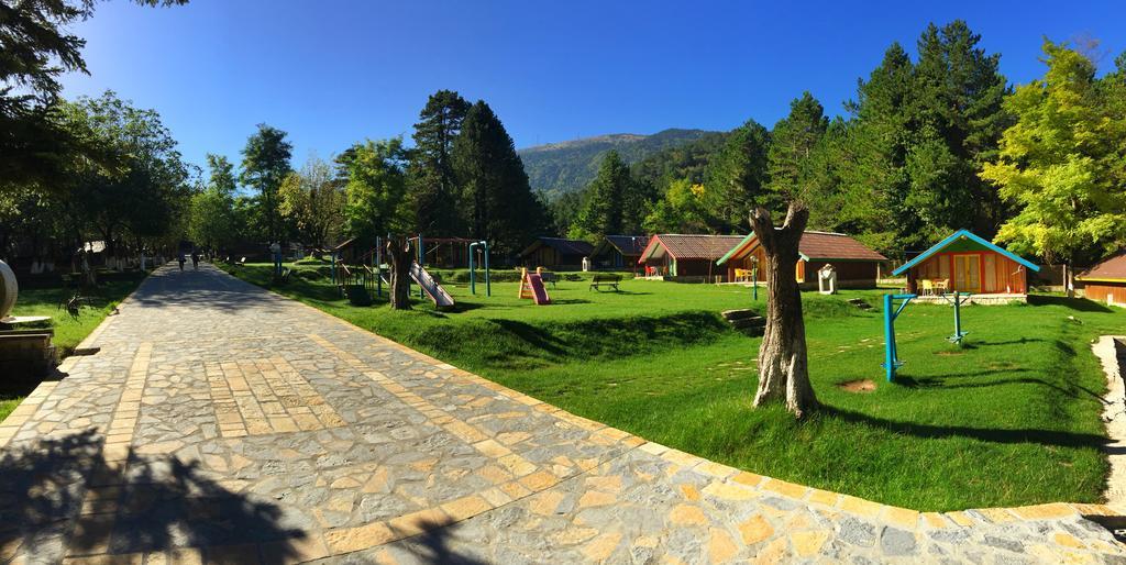 Ośrodek wypoczynkowy Te'dreri - Llogora Tourist Village 4*
