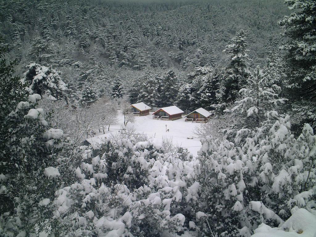 Te'dreri - Llogora Tourist Village Дхерми